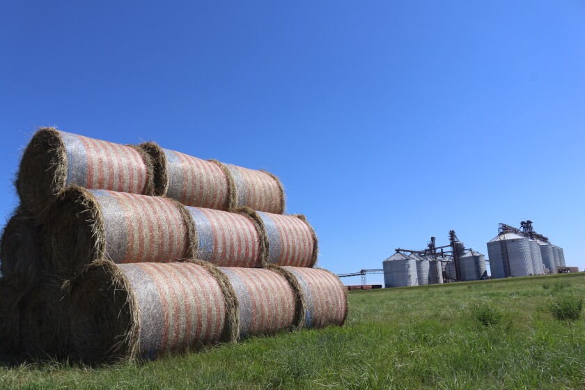 062821.AG.FlagsOnFarmsBowdleSD04.jpg
