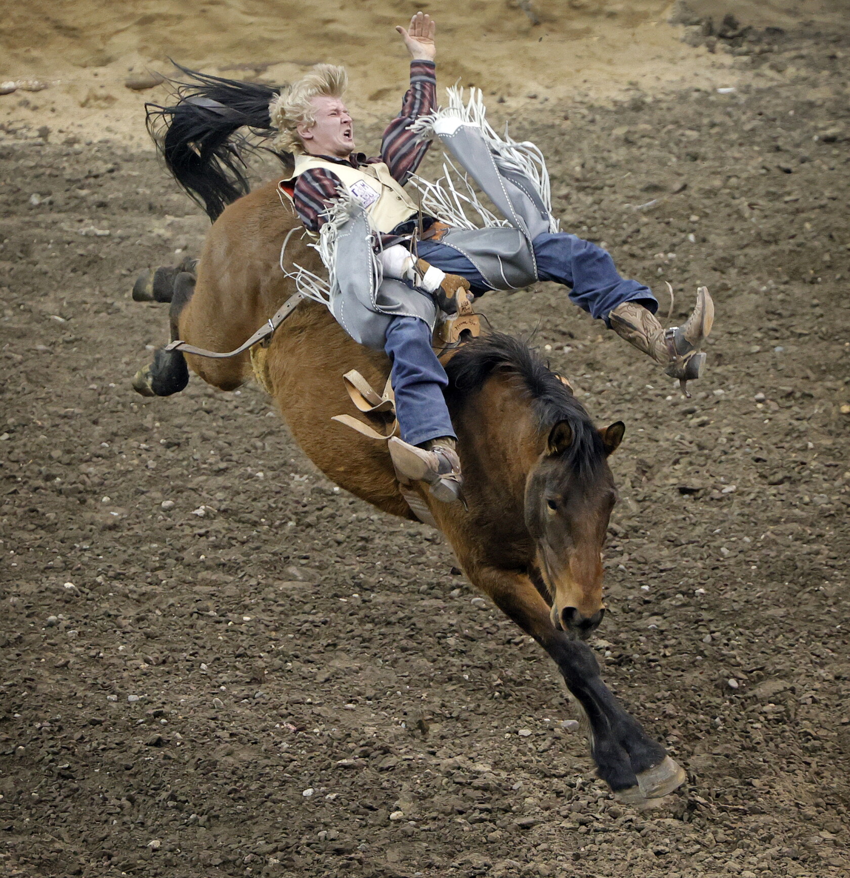 PHOTOS: PRCA Rodeo makes rowdy return to Fargodome - InForum | Fargo ...