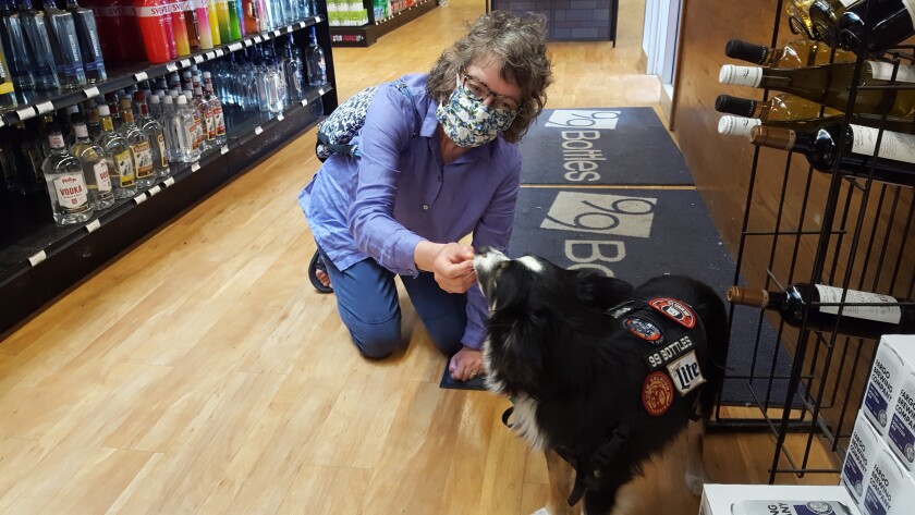 072520.B.FF.SHOPDOGS02.jpg