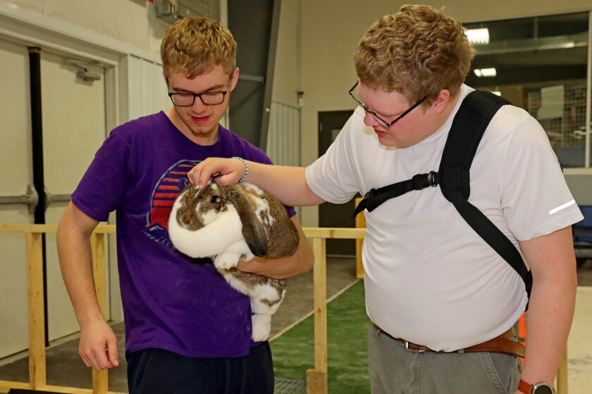 The 14th annual 4-H rabbit fun show and workshop judging Saturday, April 30, 2022, at the Crow Wing County Fairgrounds.