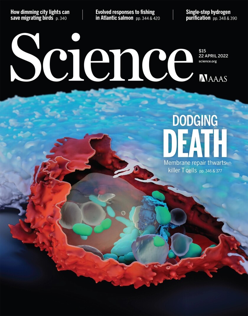 ritter science magazine.jpg