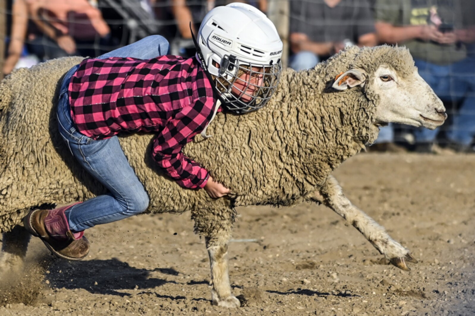 081421.ScottieStampede79.jpg