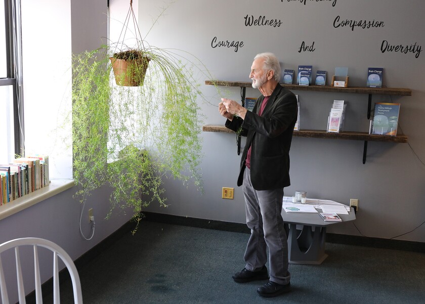 Lyle Wildes shows plant he found on road