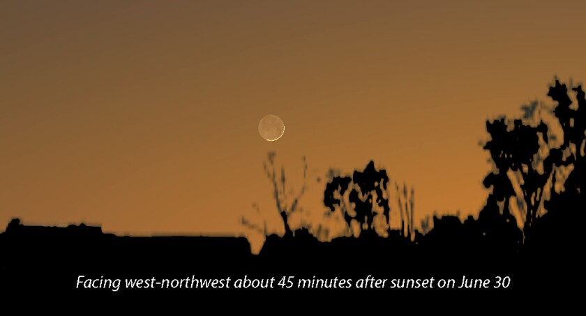 Evening crescent