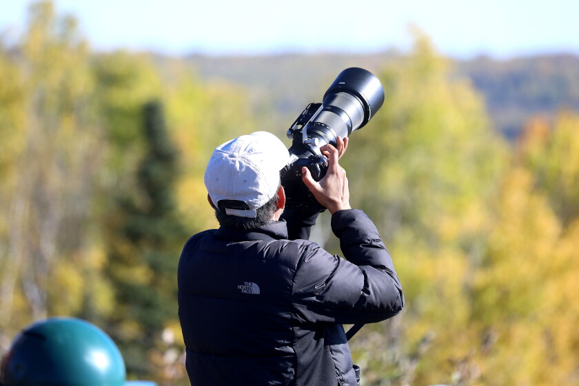 Hawk Ridge Max Photos: Flight sights at Hawk Ridge in Duluth - Duluth News Tribune ...