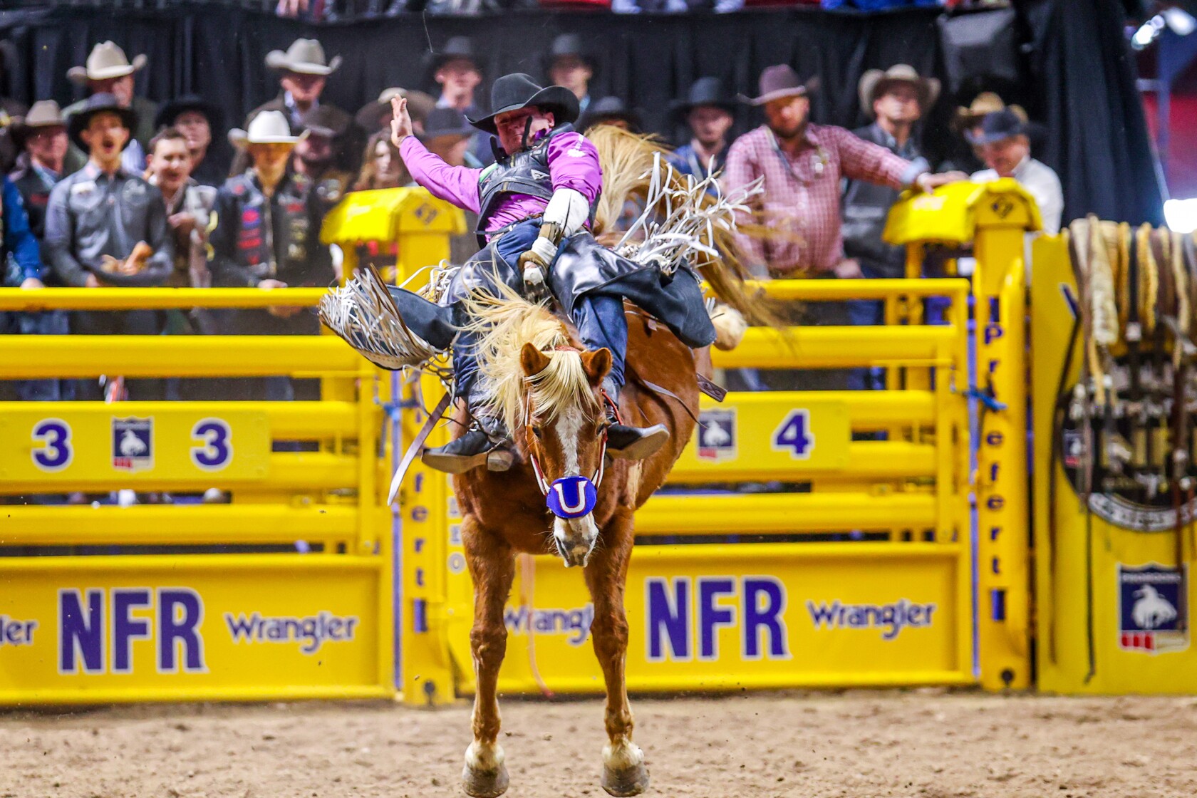 Pro rodeo: Granite Falls man wins special morning round - West Central ...