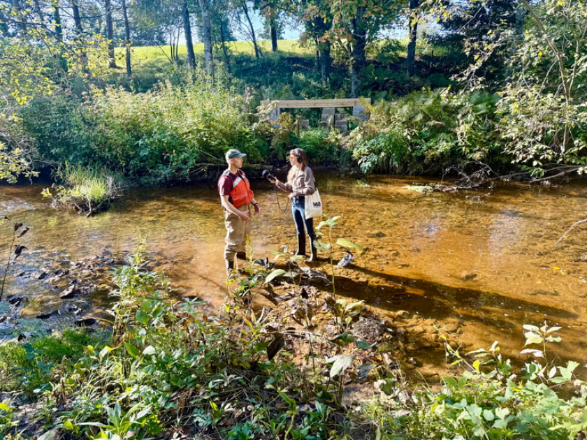 Two people talk while standing in a shallow river