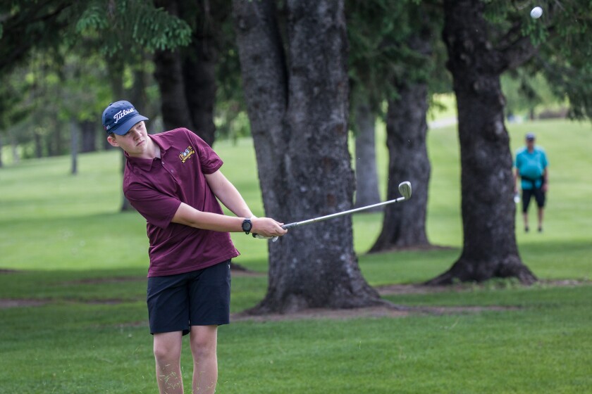 Section 1AA golf finals
