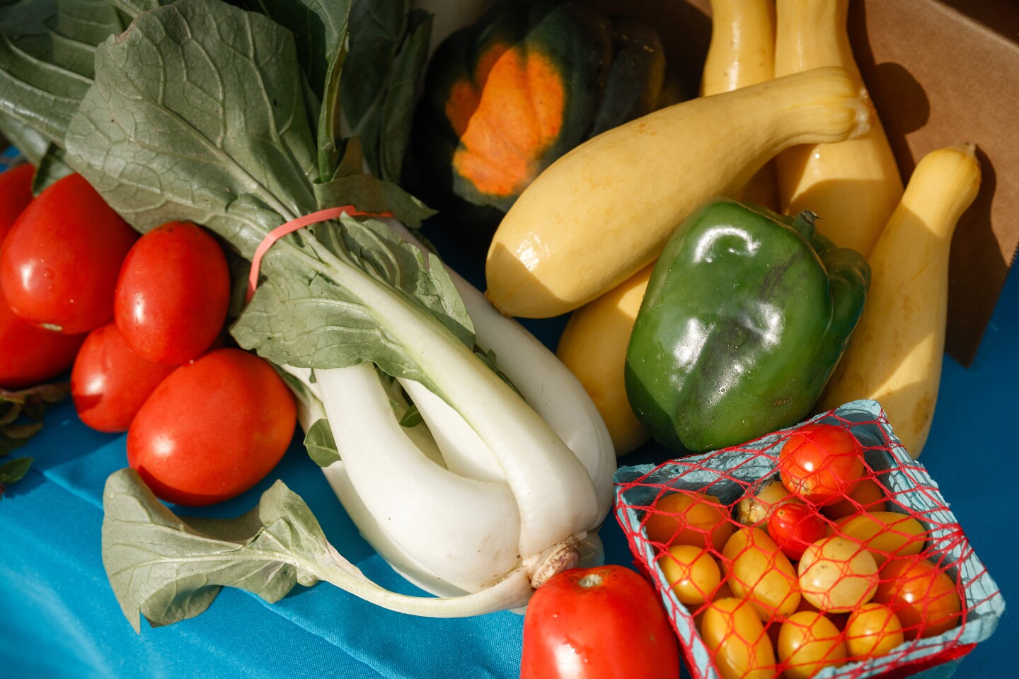 Harvesting Health Program