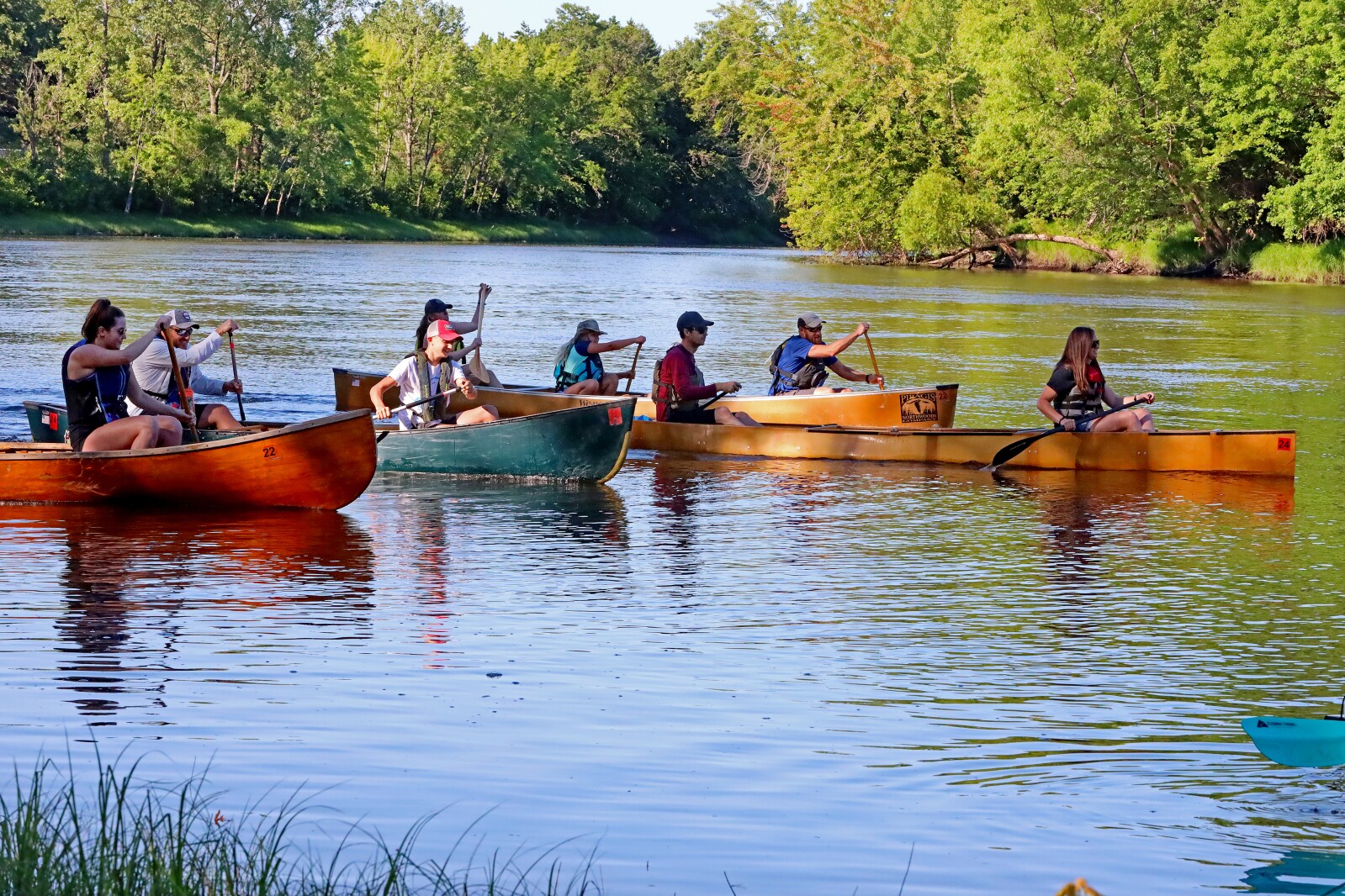 Canoeists start their race up the Mississippi River.