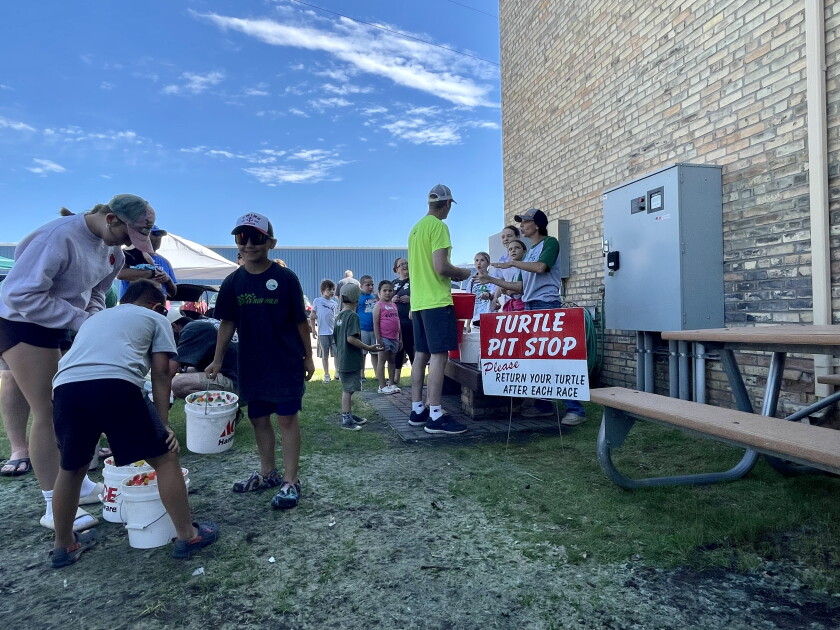 Perham Turtle Races Another fun Turtle Fest is in the books - Perham Focus | News, weather ...