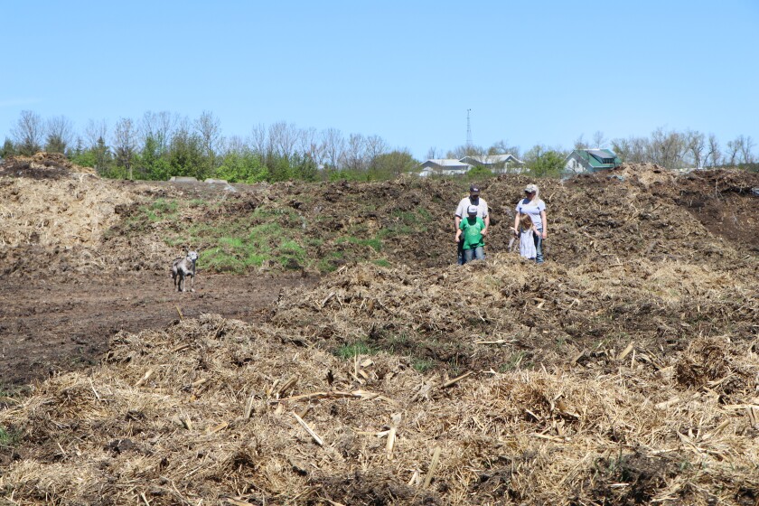Maier Ranch family members walk in an area where cows struggled to survive and birth calves during Blizzard Haley. A bed of straw in the foreground became a mire.
