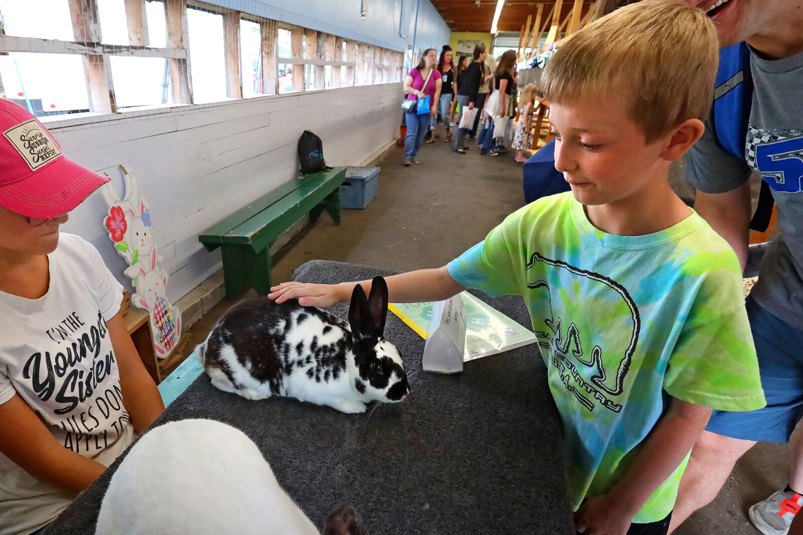 Fair Rabbids Crow Wing County Fair Thursday 2024 klick! Gallery - Brainerd Dispatch ...