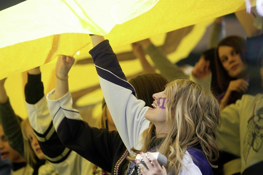 Bottineau fans
