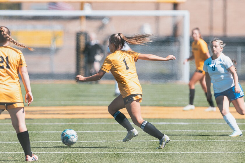 9-3-22GirlsScoccerMitchellvsDouglas-25.jpg