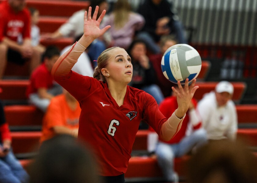 Volleyball: Willmar Cardinals move into section final - West Central ...