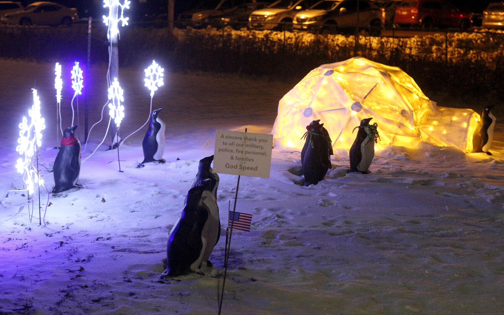 Marcia Hales Christmas Lights 2025