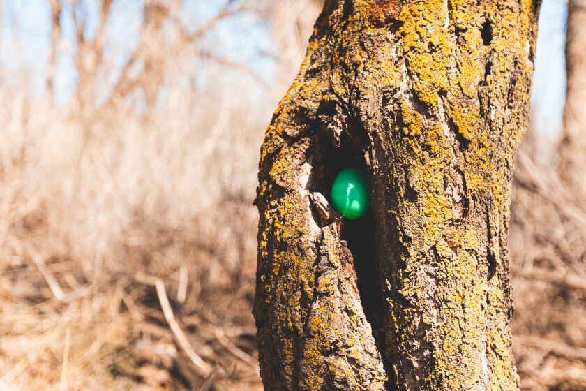 HelpingHorsepowerEasterEggHunt-14.jpg