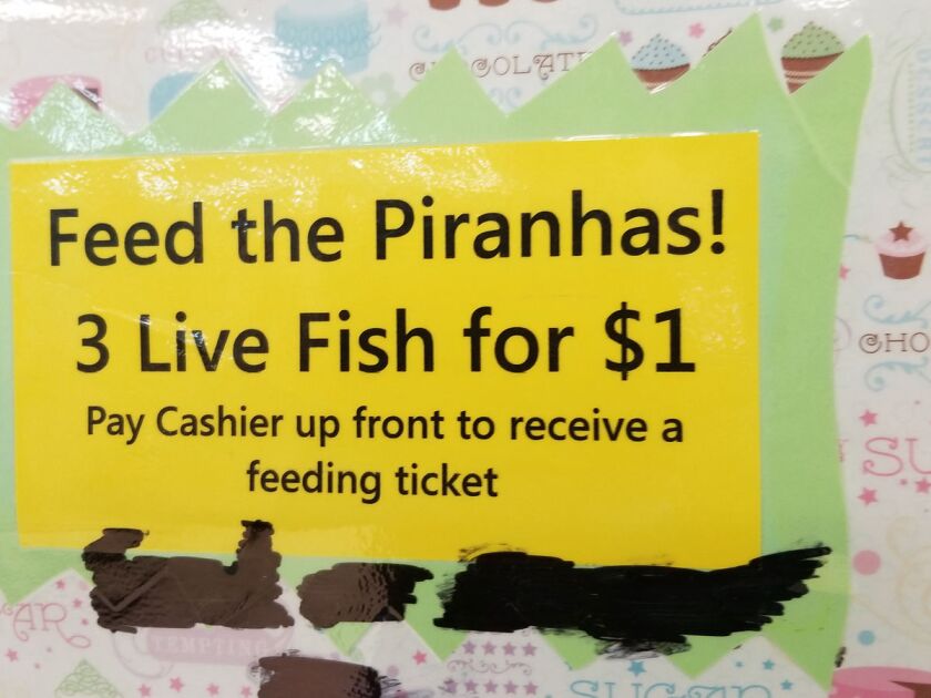 Piranha2.jpg