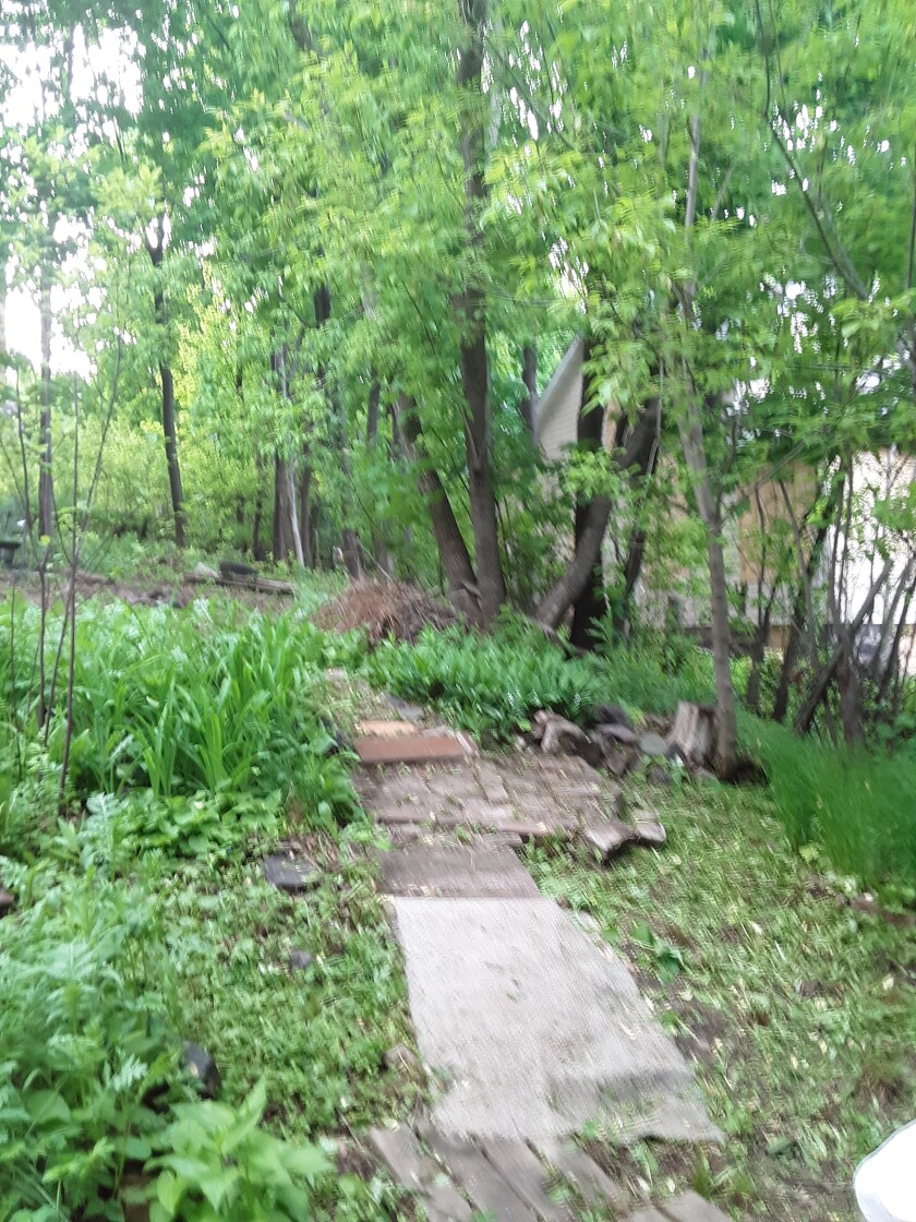 20220613_182537.jpg
