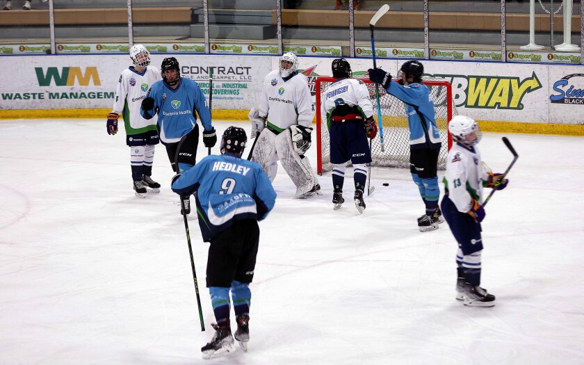 Hockey players celebrate after a goal is scored