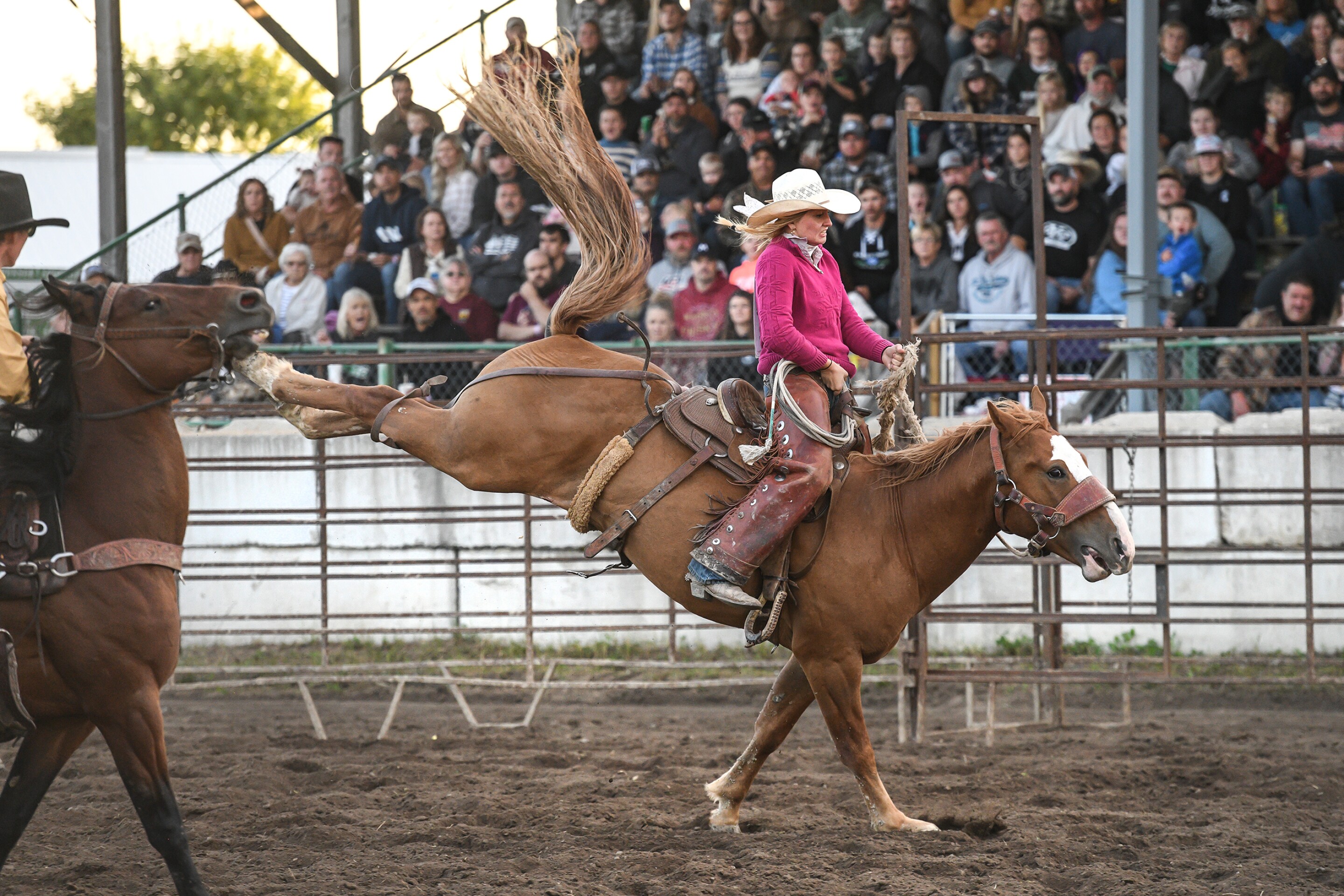Wojo’s Rodeo brings broncs and barrels to Beltrami County Fair - The ...