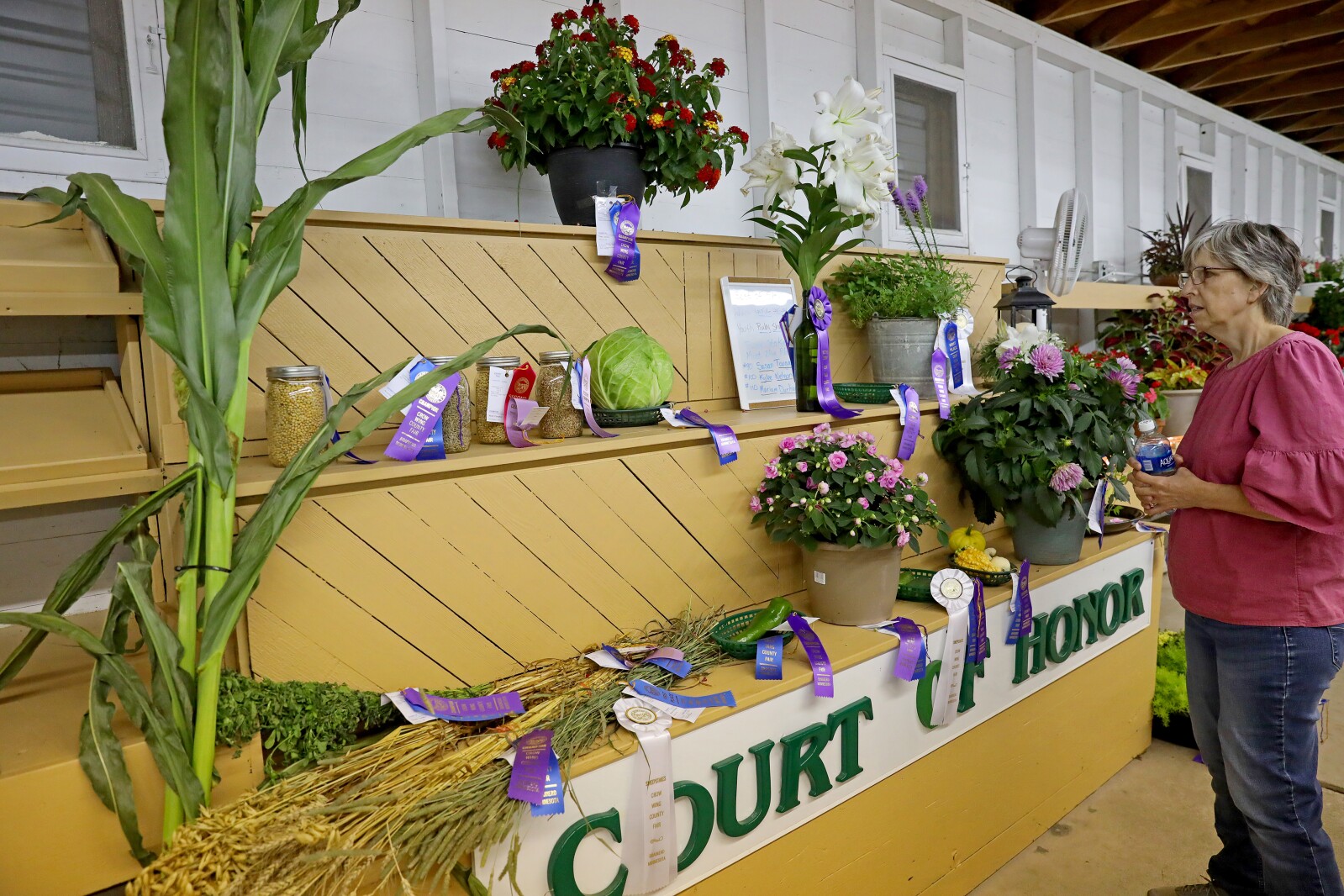 Crow Wing County Fair Aug. 2022.