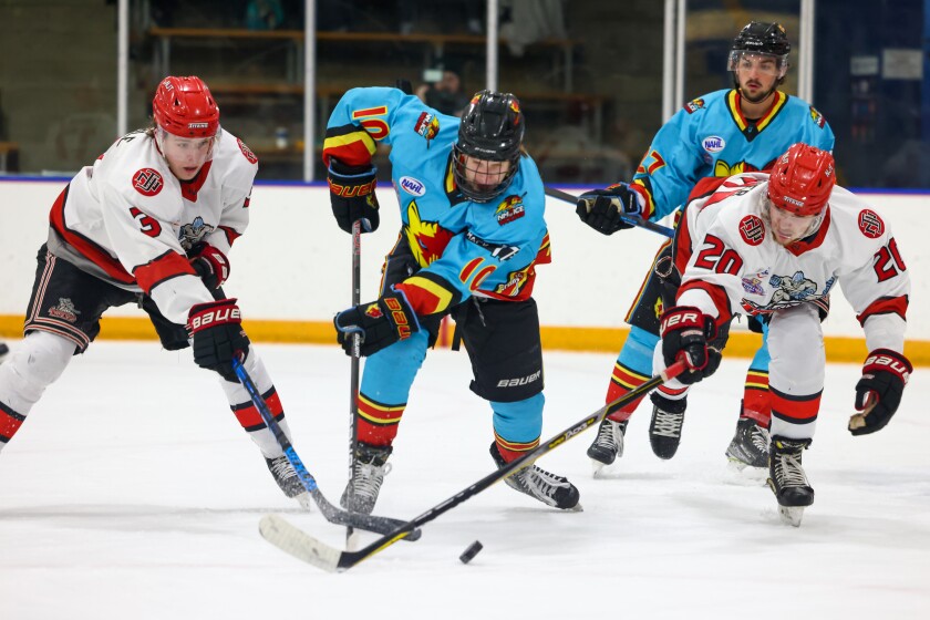 New Mexico vs New Jersey; Game 3
