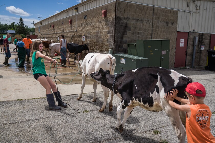 Olmsted County Fair