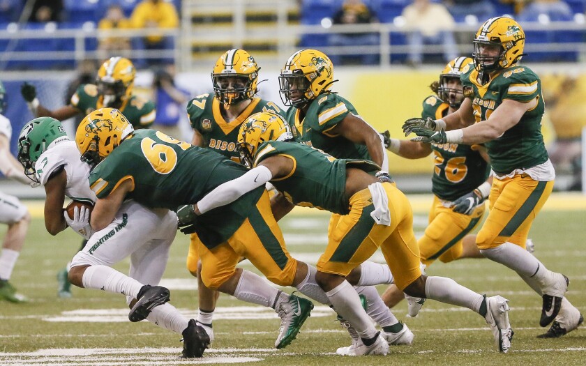 032021.S.FF.Bison.Buetow.jpg