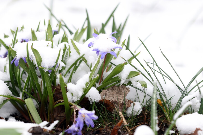 Minnesota During Spring PHOTOS: Waiting for spring in southwest Minnesota - The Globe | News ...