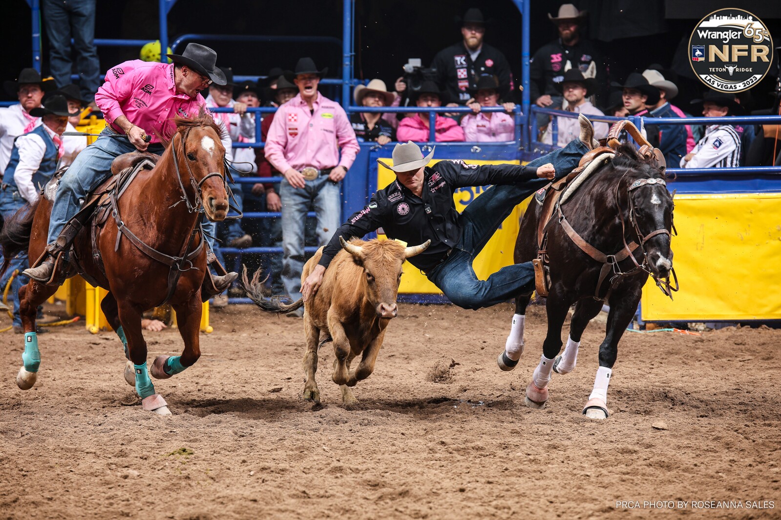 Pro rodeo: Milan man stays hot in Vegas - West Central Tribune | News ...