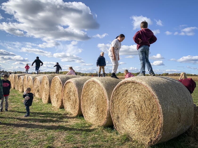 100720.N.BP.FULLERFARM - 3.jpg