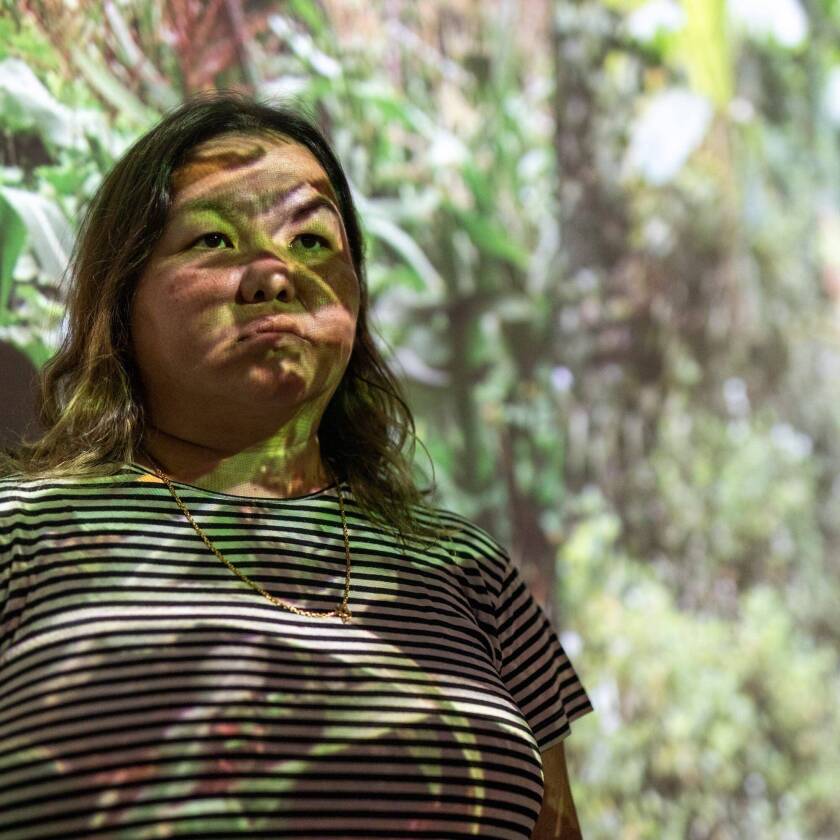 Pao Houa Her4.jpg