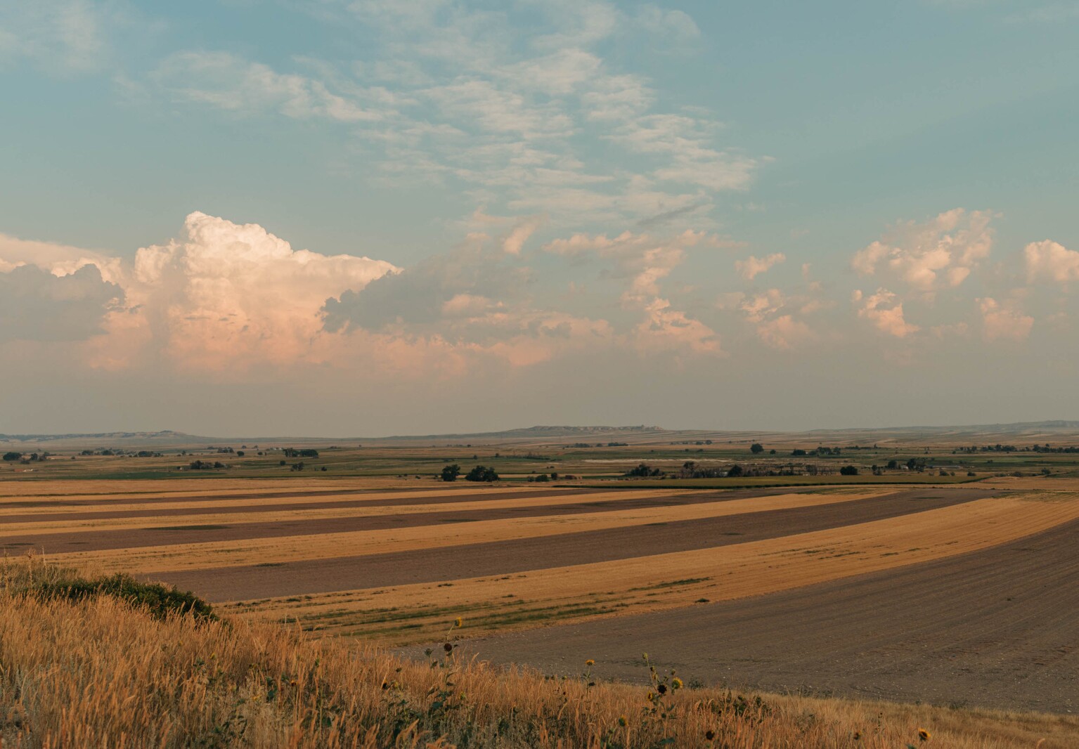 Consider the flexible lease agreement in farm land rentals - Agweek ...