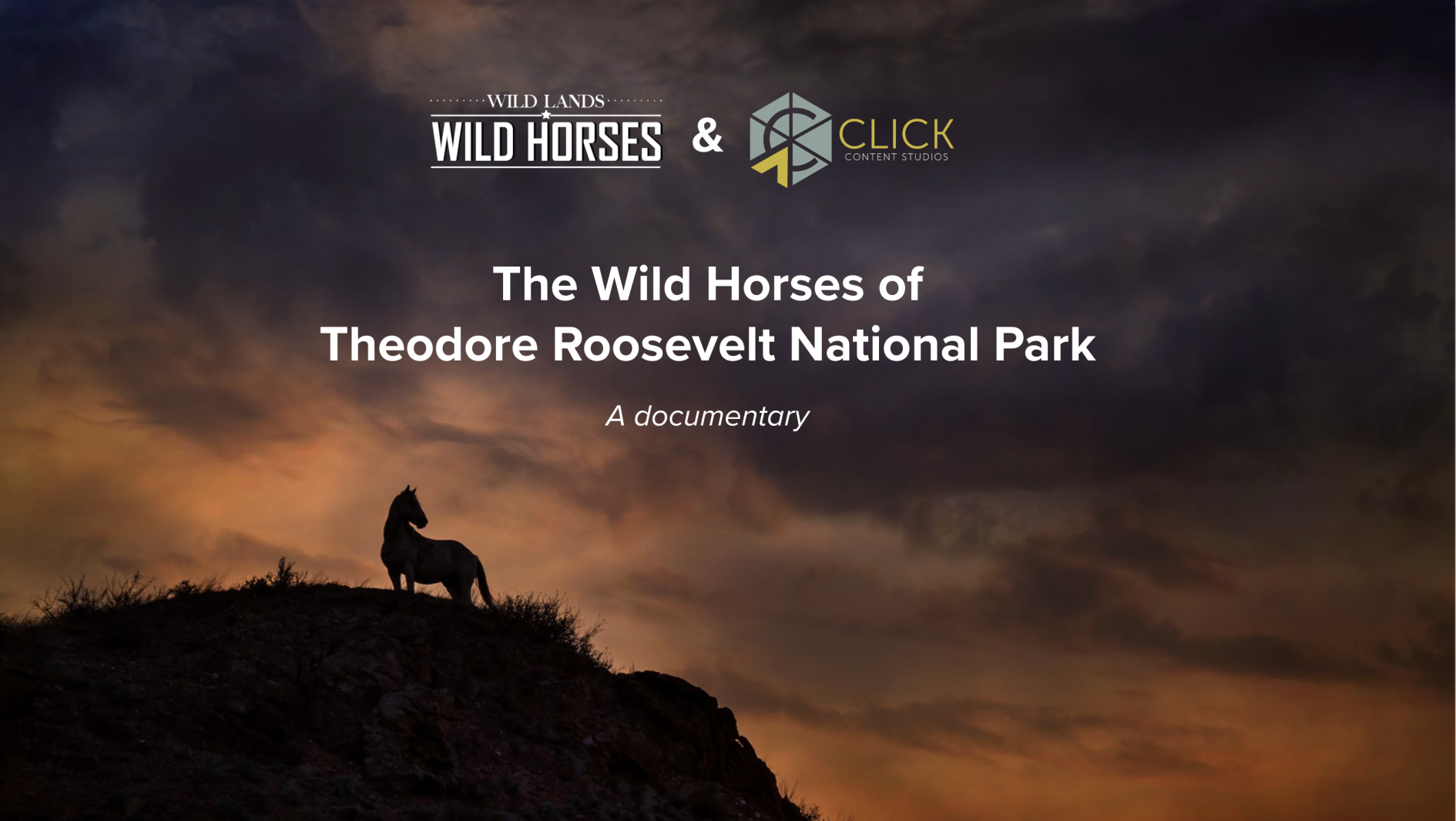 North Dakota’s wild horses to be featured in book, documentary on rich history, cultural heritage – Grand Forks Herald North Dakota’s wild horses to be featured in book, documentary on rich history, cultural heritage – Grand Forks Herald