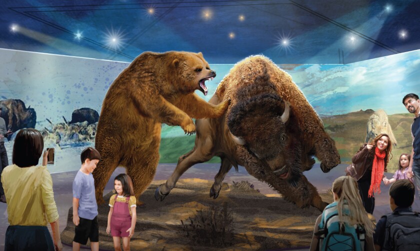 grizzly bison