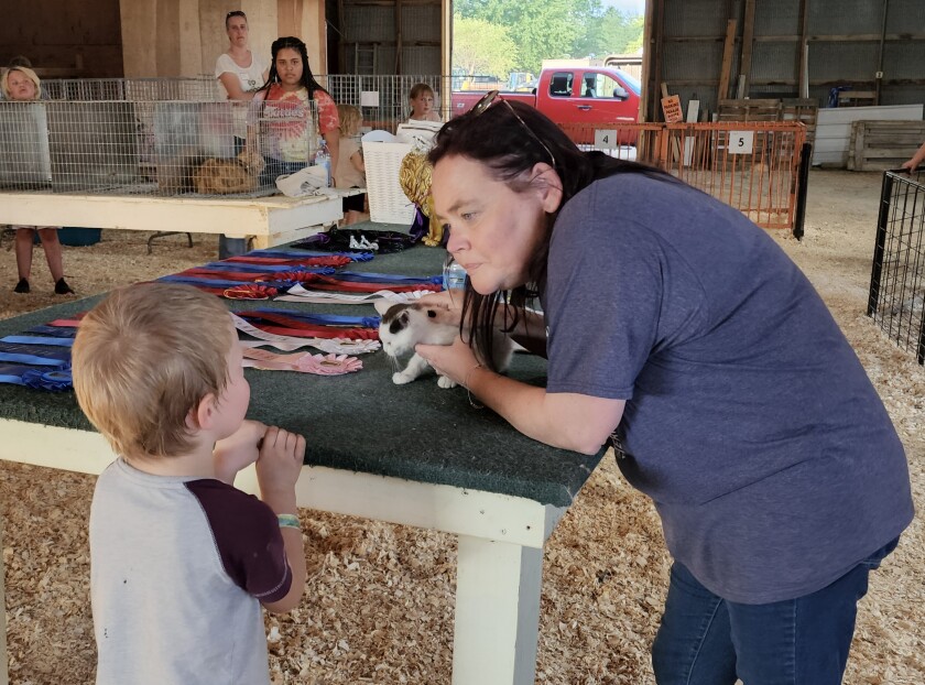 Oliver Grunewald shows his kitten to judge Autumn Hunter during the Household Cat & Kitten Show on Wednesday, Aug. 10, 2022, during the Cottonwood County Fair.