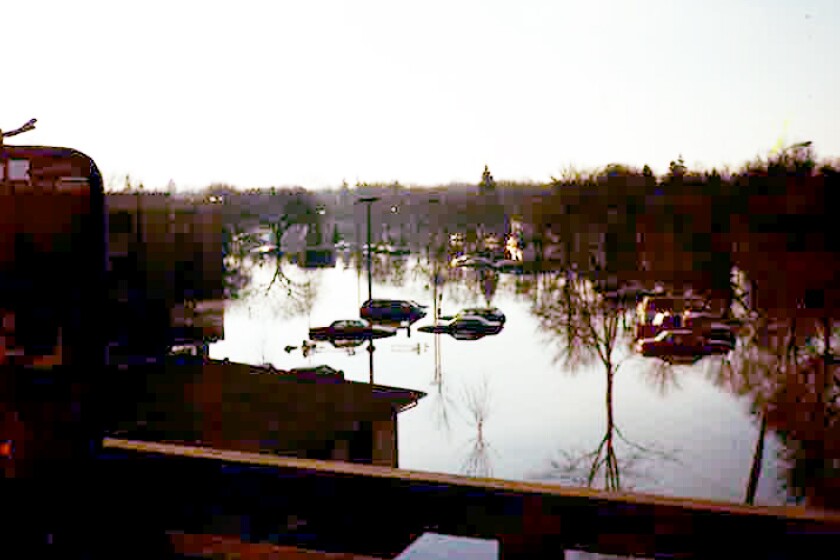 97Flood_Nicolson6.jpg