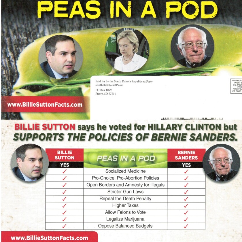 "Two Peas in a Pod" Kristi Noem campaign mailer.