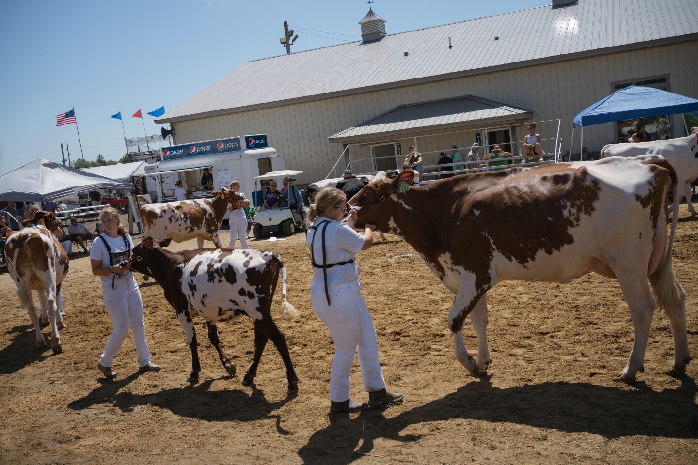 Photos The Goodhue County Fair On Aug 11 2023 Post Bulletin photos-the-goodhue-county-fair-on-aug-11-2023-post-bulletin
