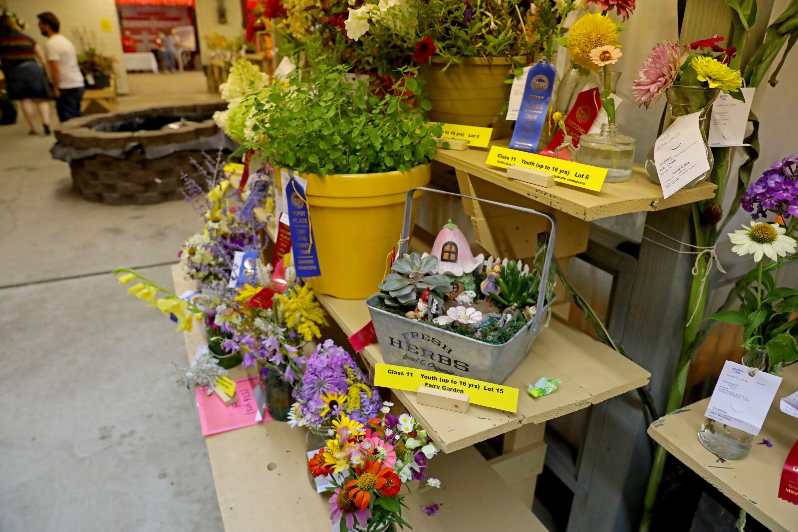 Crow Wing County Fair Aug. 2022.