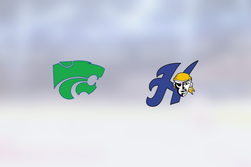 img_500214530_rinklive.png