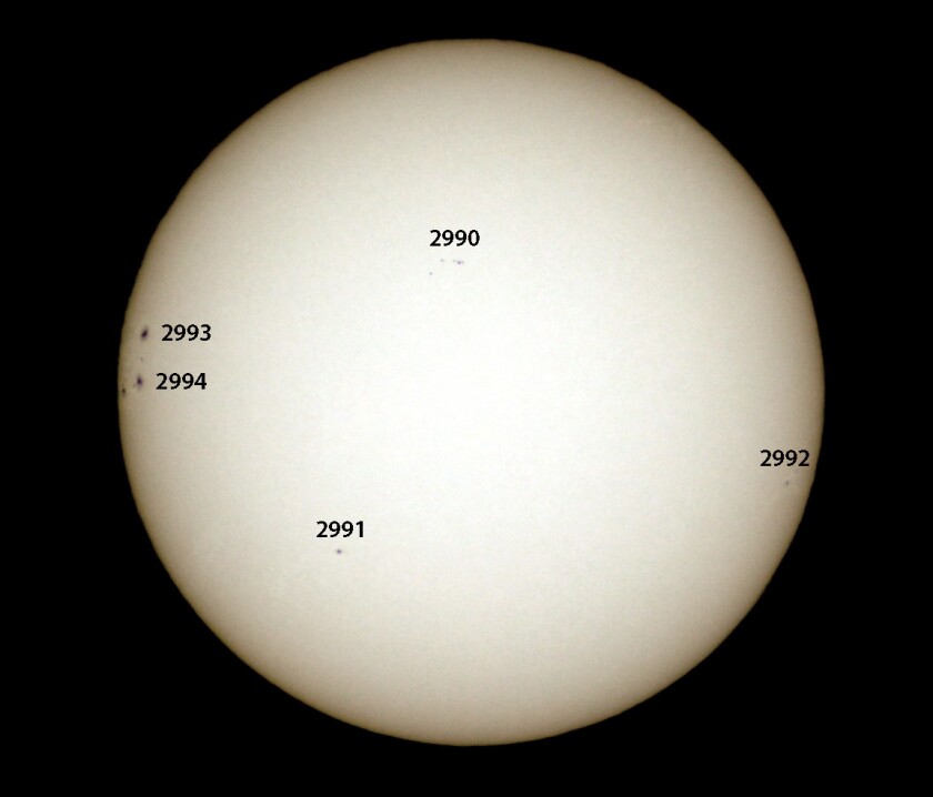 Big sunspots return