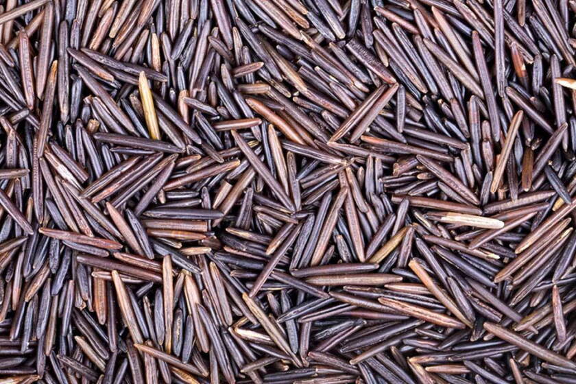 Wild Rice Season Wild rice harvesting season opens Aug. 15; most areas not yet ready ...