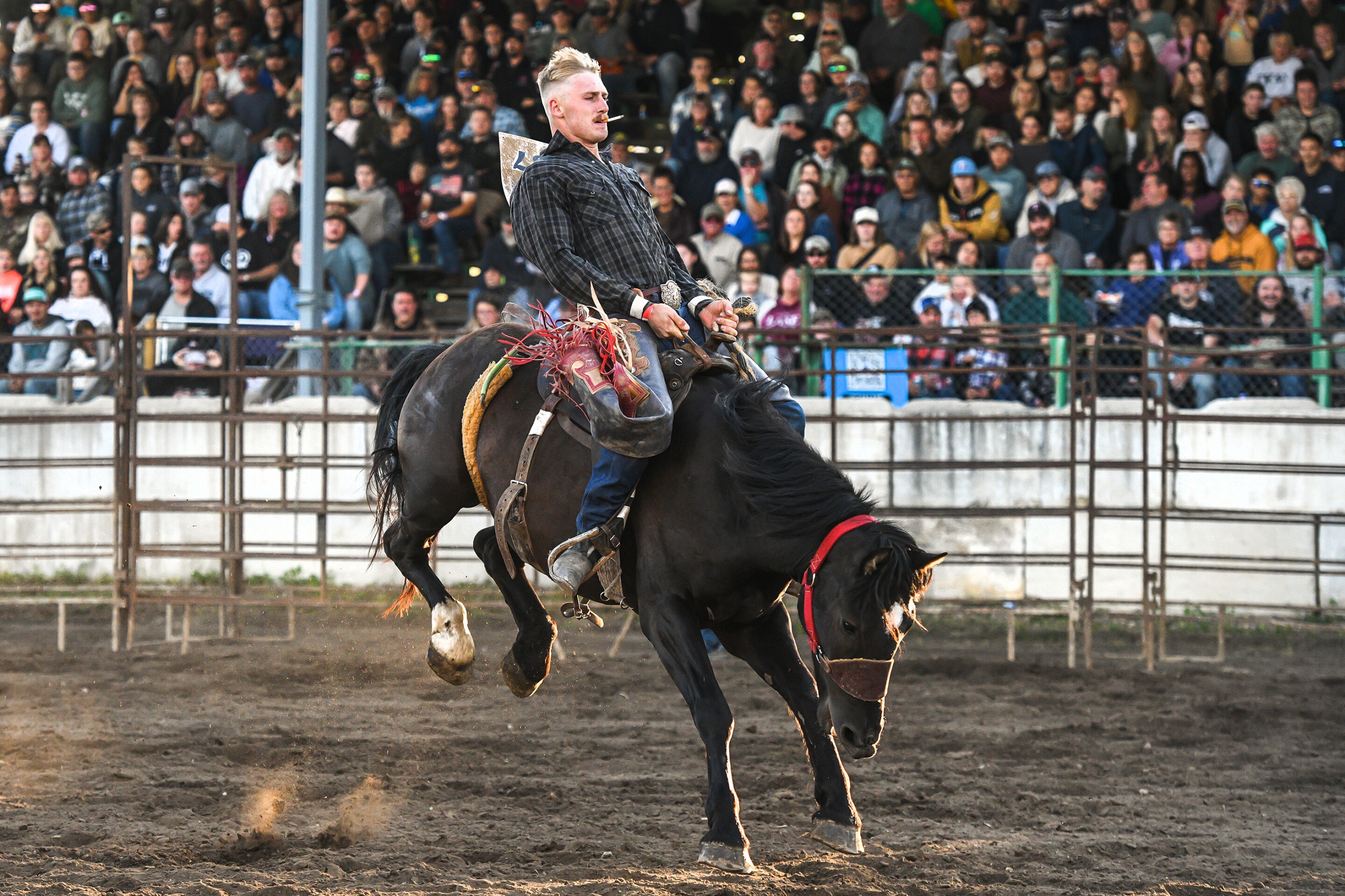 Wojo’s Rodeo brings broncs and barrels to Beltrami County Fair - The ...