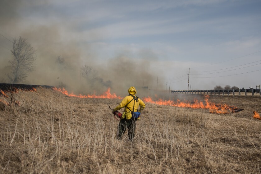 MnDot Prescribed Burn