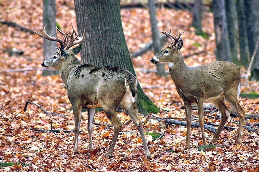 Exploring Wisconsin DNR Lake Maps Your Comprehensive Guide WI Spotlight Exploring wisconsin dnr lake maps your comprehensive guide wi spotlight
