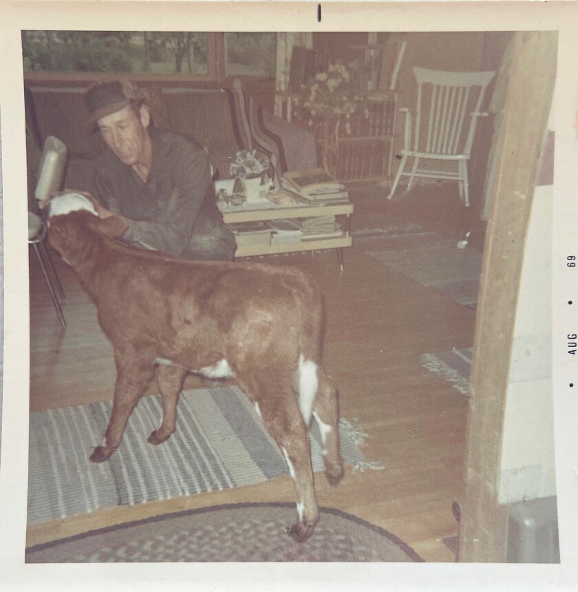 Dean Anderson feeds a calf inside their home