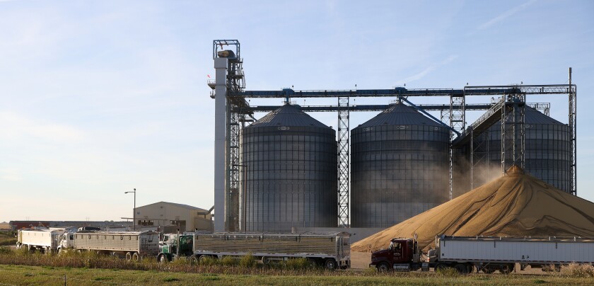 Semi tractor trailers line up to dump soybeans at the Minnesota Soybean Processors crush and bio-diesel facility in Brewster.